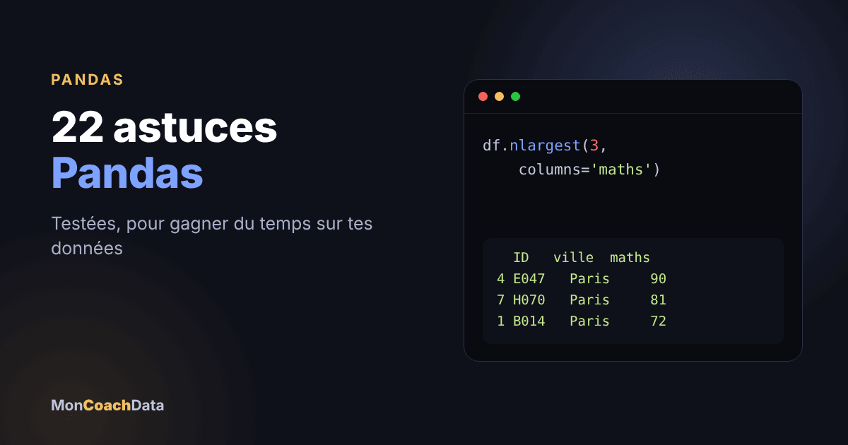 couverture 22 astuces pandas