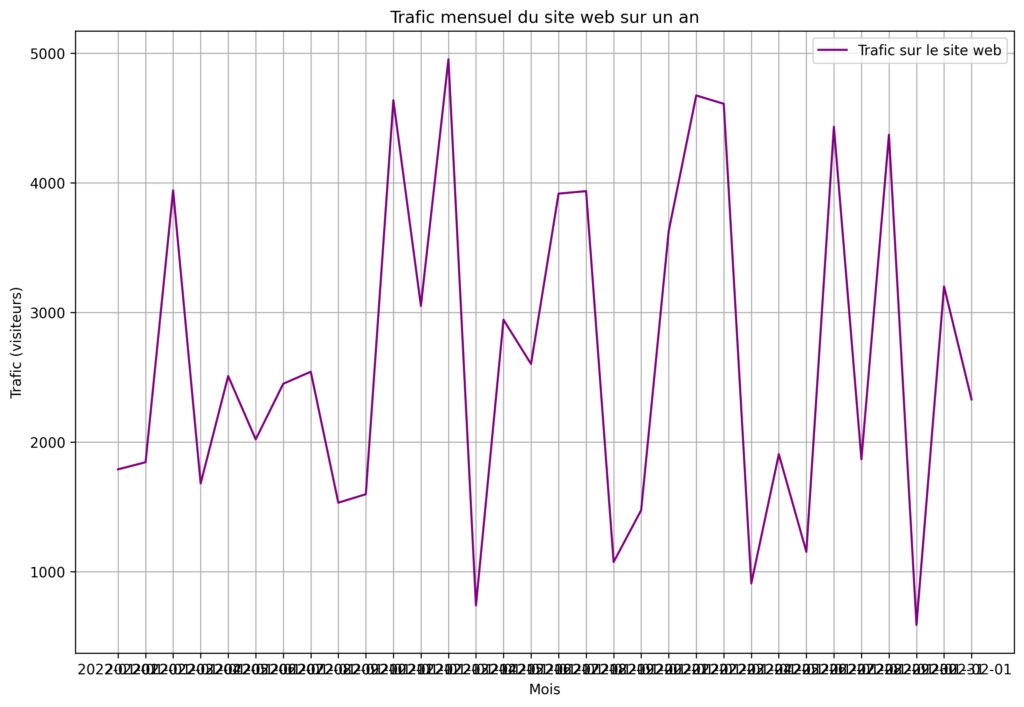 Trafic Mensuel Du Site Web Sur 1 An V1