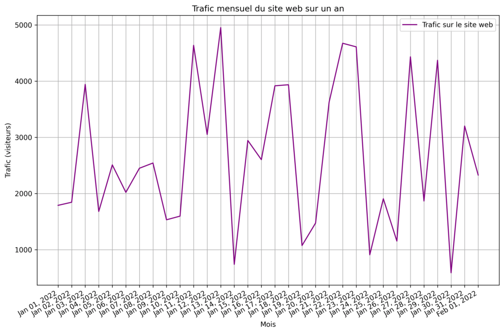 Trafic Mensuel Du Site Web Sur 1 An V2