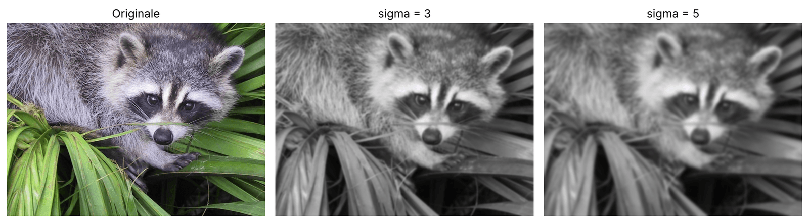 10 outils de manipulation et traitement d'images en Python Image floutée avec le filtre gaussien de SciPy