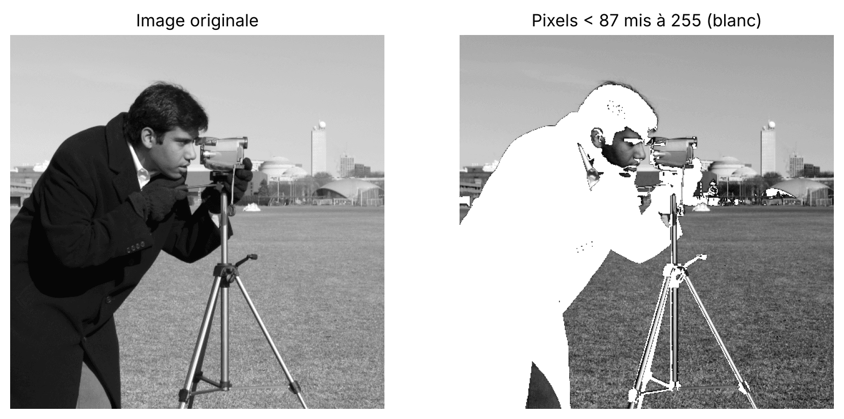 10 outils de manipulation et traitement d'images en Python Image modifiée avec un masque NumPy